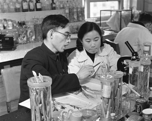 This photo taken in the 1950s and released by Xinhua News Agency on Monday Oct. 5, 2015 shows Tu Youyou, right, a pharmacologist with the China Academy of Chinese Medical Sciences in Beijing, working with Prof. Lou Zhicen to study traditional Chinese medicine. Three scientists from Ireland, Japan and China won the 2015 Nobel Prize in medicine on Monday, Oct. 5, 2015 for discovering drugs against malaria and other parasitic diseases that affect hundreds of millions of people every year. Tu was awarded the prize for discovering artemisinin, a drug that has helped significantly reduce the mortality rates of malaria patients. (Xinhua via AP)